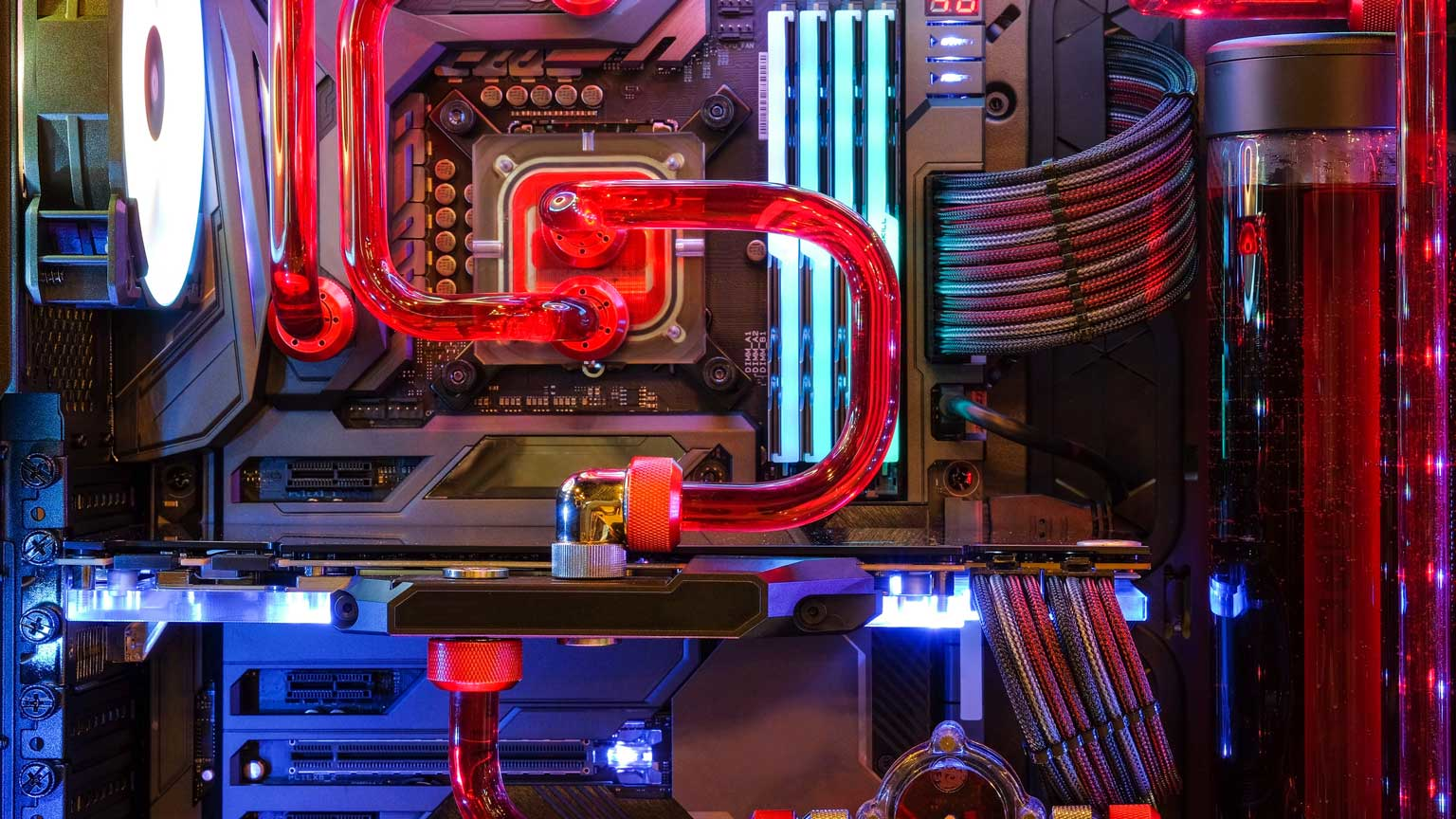 Chiradech Chotchuang Dreamstime L 151731753