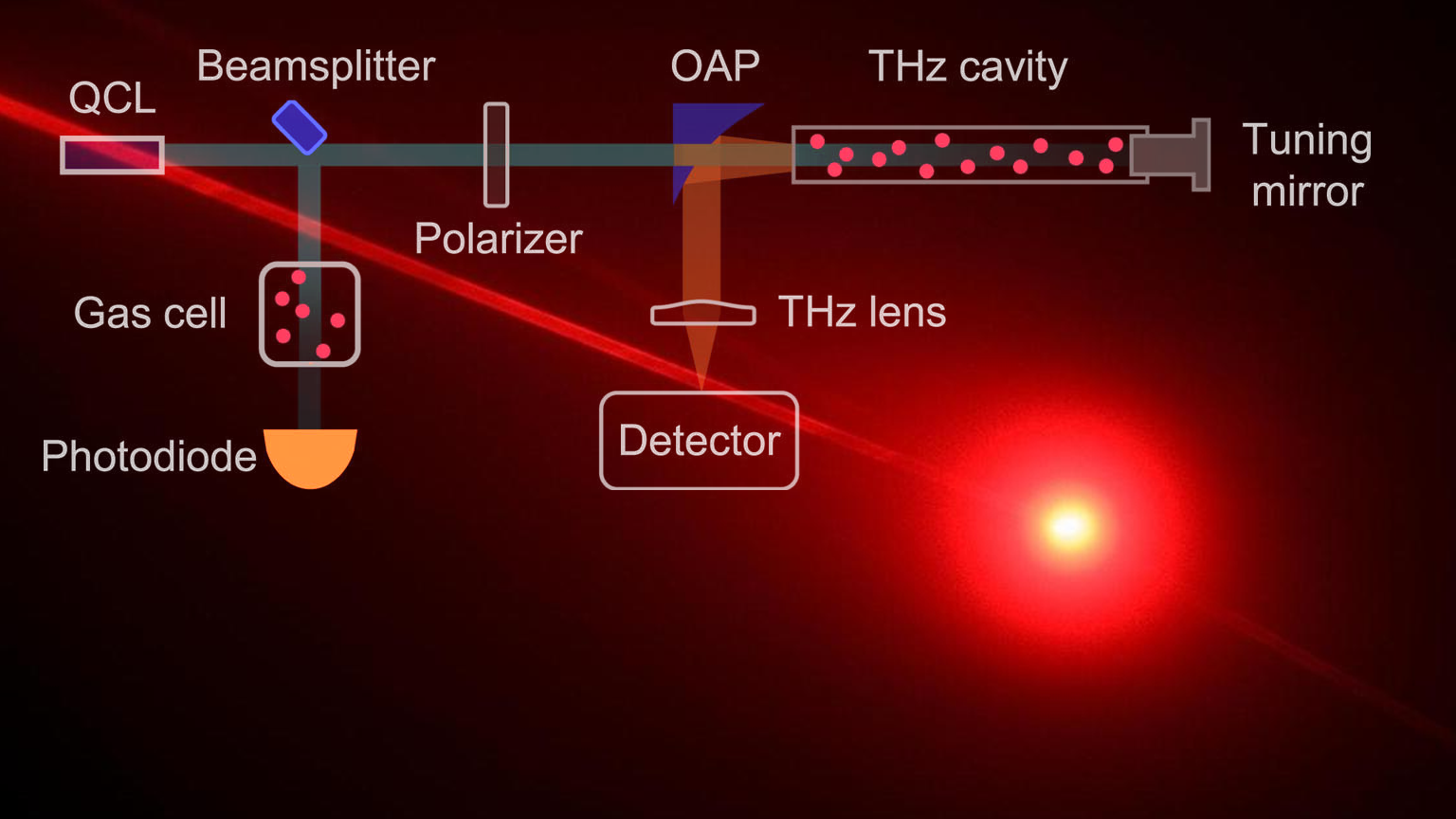Schweber Promo 1 62795feb51180