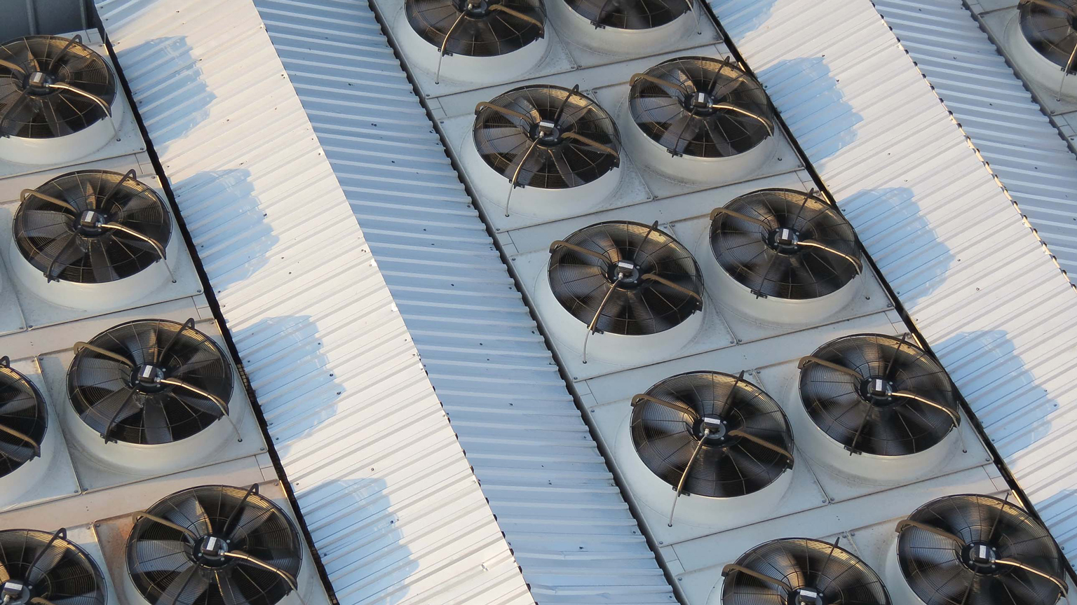 Fans Dreamstime Milllda 23061791