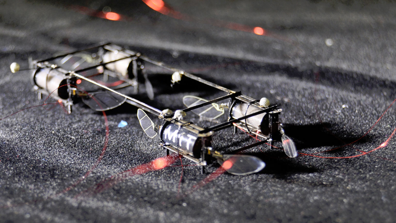 Ed Self Lighting Insect Robot Interest Eye Candy1 62ea84ac012d7