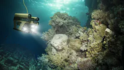 Underwater Dreamstime Sven Bachstroem 103783874 6410d0650e29a Underwater Dreamstime Sven Bachstroem 103783874 6410d0650e29a