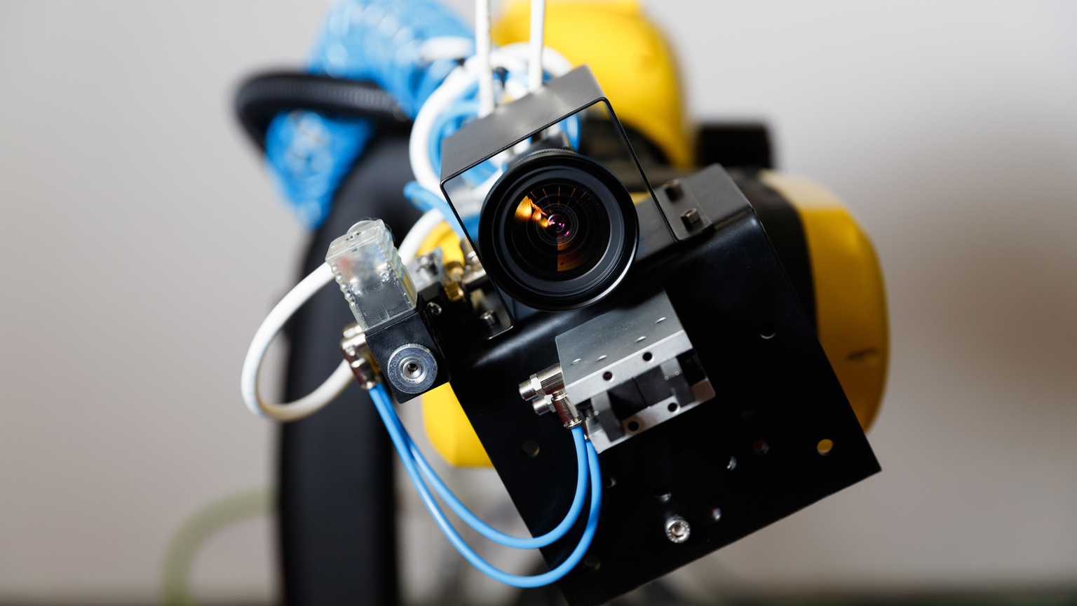 Dreamstime Alexandr Yakovlev 267692611