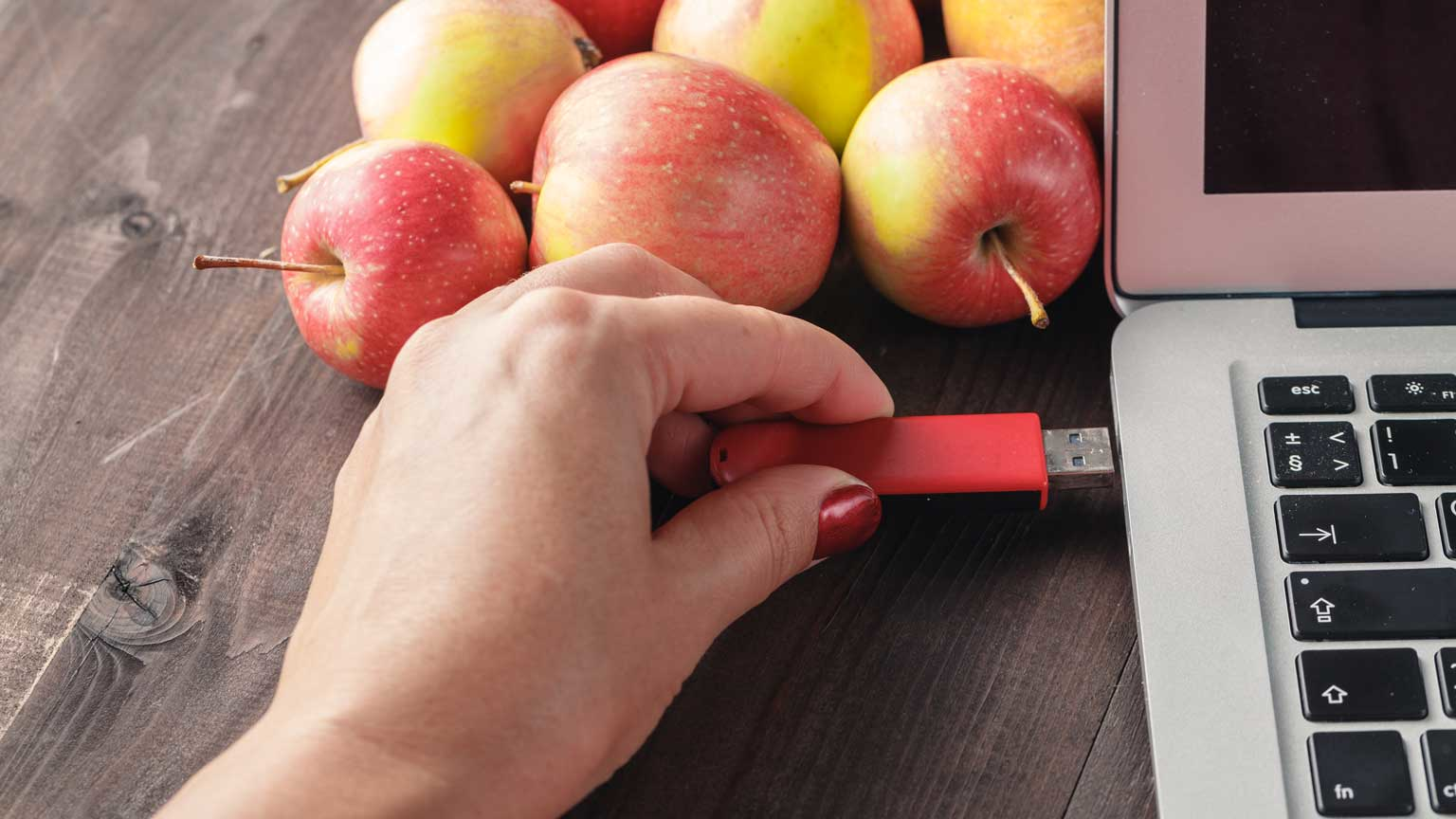 Dreamstime Andrey Cherkasov 77155550 645d0ccf565a2