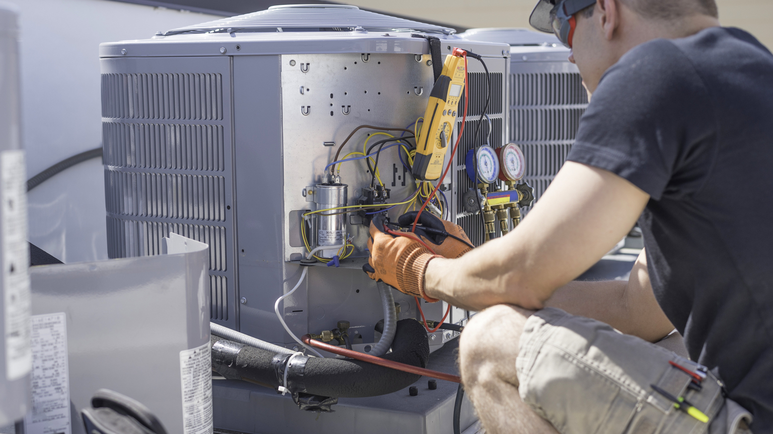 Dreamstime David Spates 154647935