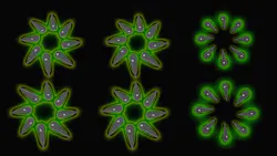Ed Interest Micro Nano Led Production Eye Candy 64fa3177476be Ed Interest Micro Nano Led Production Eye Candy 64fa3177476be