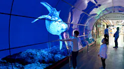 Oled Dreamstime L 105144300 Oled Dreamstime L 105144300