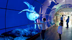 Oled Dreamstime L 105144300 652edad4788a3 Oled Dreamstime L 105144300 652edad4788a3