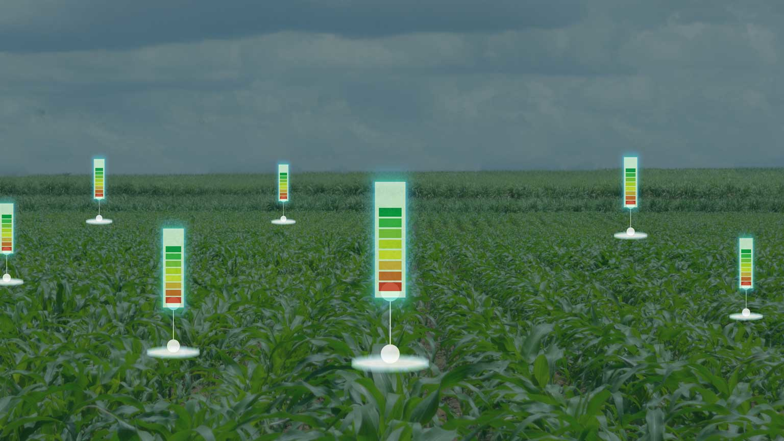 Dreamstime Ekkasit919 124220683