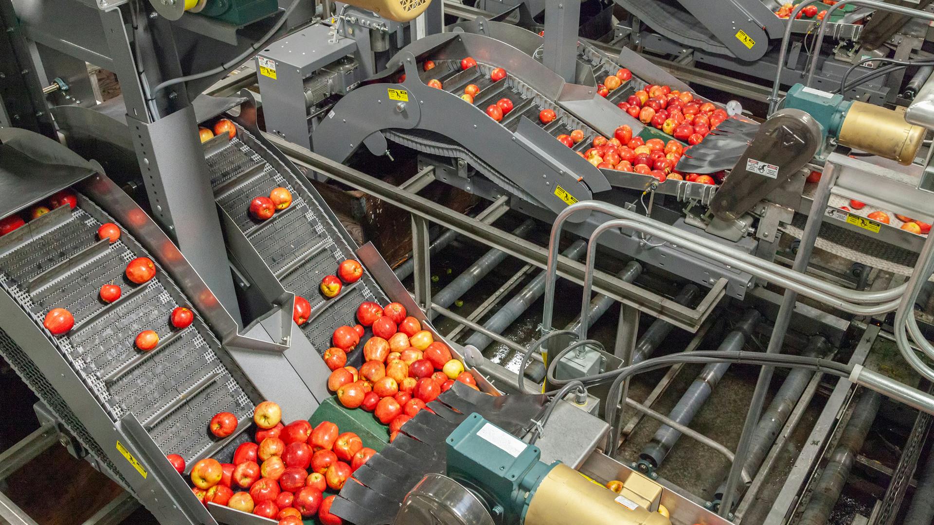 conveyor_dreamstime_l_145715136