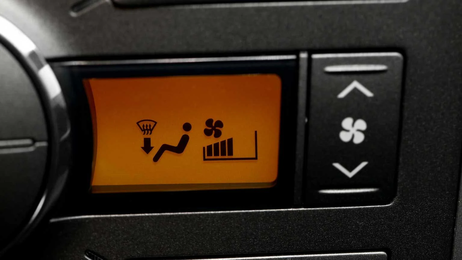 6564f77d529811001e09dfc2 Dreamstime Ptergudella 30407889