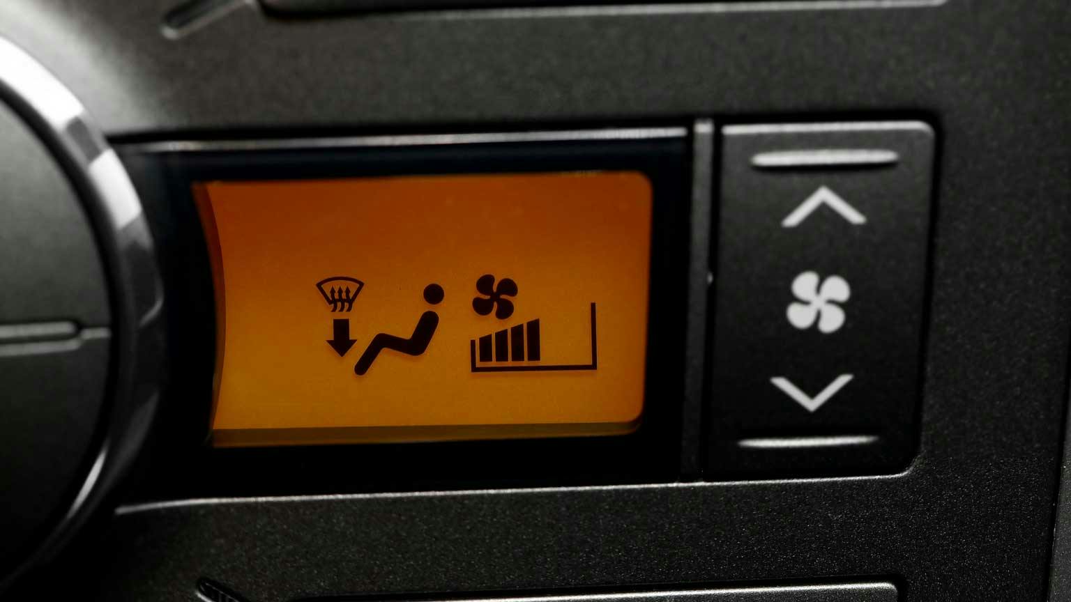 6564fbd4994f0c001d35acab Dreamstime Ptergudella 30407889