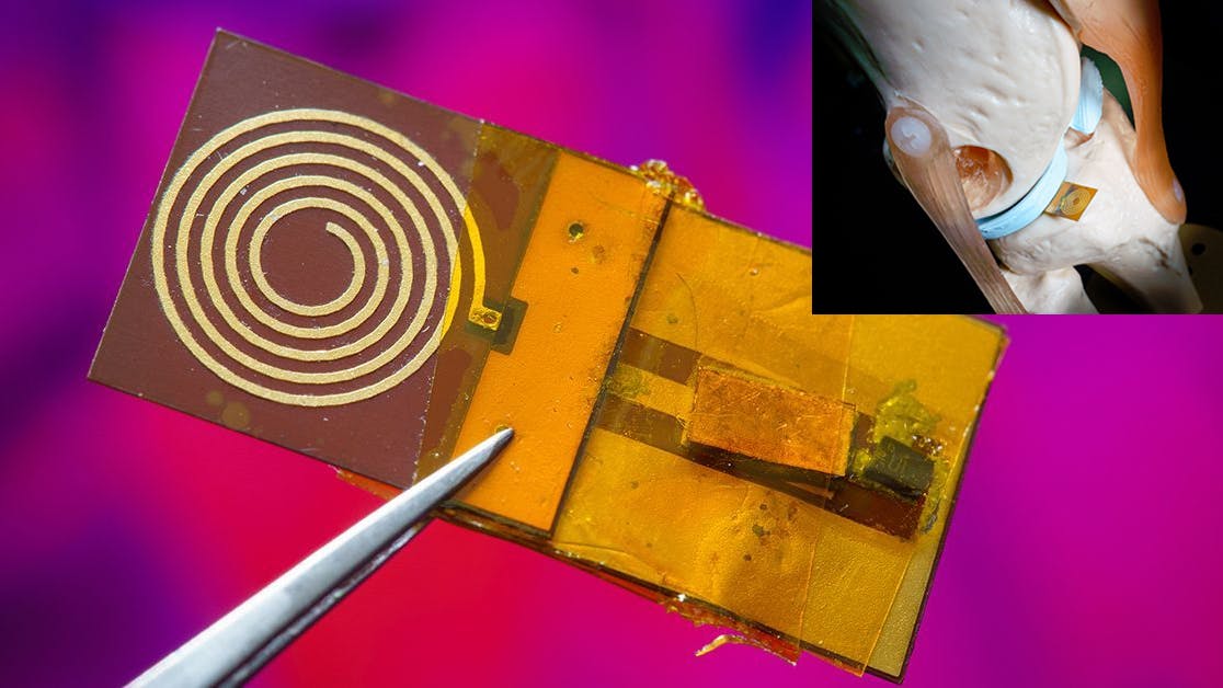 ed_forcesticker_interest_eyecandy1