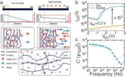 ed_silk_or_silicon_interest_fig2_web ed_silk_or_silicon_interest_fig2_web