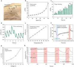 3. Characteristics of sensors and an electrical heater using Ag@AuNWs and AuHNWs: (a) Integrated sensors and a heater on the wrist fixed with a medical Tegaderm tape. (b) The relative resistance change of strain sensor with increasing strain. (c,d) Relative resistance changes for finger bending (c) and pulse monitoring (d). (e) The relative resistance change of temperature sensor with increasing temperature. (f) Skin temperature monitored by the Ag@AuNW temperature sensor with hot or cold stimulation. (g) The temperature change of Ag@AuNW electrical heater with increasing voltage. (h) The temperature change profiles measured by an IR thermal camera and the Ag@AuNW temperature sensor. 3. Characteristics of sensors and an electrical heater using Ag@AuNWs and AuHNWs: (a) Integrated sensors and a heater on the wrist fixed with a medical Tegaderm tape. (b) The relative resistance change of strain sensor with increasing strain. (c,d) Relative resistance changes for finger bending (c) and pulse monitoring (d). (e) The relative resistance change of temperature sensor with increasing temperature. (f) Skin temperature monitored by the Ag@AuNW temperature sensor with hot or cold stimulation. (g) The temperature change of Ag@AuNW electrical heater with increasing voltage. (h) The temperature change profiles measured by an IR thermal camera and the Ag@AuNW temperature sensor.