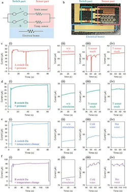 5. Both signal monitoring and processing of a multifunctional intelligent wearable device: (a) Circuit diagram and (b) photo of multifunctional intelligent wearable device. (c,d) Output current of multifunctional intelligent wearable device with pressure stimulations under “A” switch on (c) and “B” switch on (d): the profiles of whole output currents (i), no stimulation between 20 and 30 s (ii), pressure stimulation on the strain sensor (S) between 30 and 45 s (iii), and pressure stimulation on the temperature (T) sensor between 50 and 65 s (iv). (e,f) Output current of multifunctional intelligent wearable device with temperature stimulations under “A” switch on (e) and “B” switch on (f): the profiles of whole output currents (i), no stimulation (ii), cold water contact (iii), and hot water contact on both S and T sensors (iv). 5. Both signal monitoring and processing of a multifunctional intelligent wearable device: (a) Circuit diagram and (b) photo of multifunctional intelligent wearable device. (c,d) Output current of multifunctional intelligent wearable device with pressure stimulations under “A” switch on (c) and “B” switch on (d): the profiles of whole output currents (i), no stimulation between 20 and 30 s (ii), pressure stimulation on the strain sensor (S) between 30 and 45 s (iii), and pressure stimulation on the temperature (T) sensor between 50 and 65 s (iv). (e,f) Output current of multifunctional intelligent wearable device with temperature stimulations under “A” switch on (e) and “B” switch on (f): the profiles of whole output currents (i), no stimulation (ii), cold water contact (iii), and hot water contact on both S and T sensors (iv).