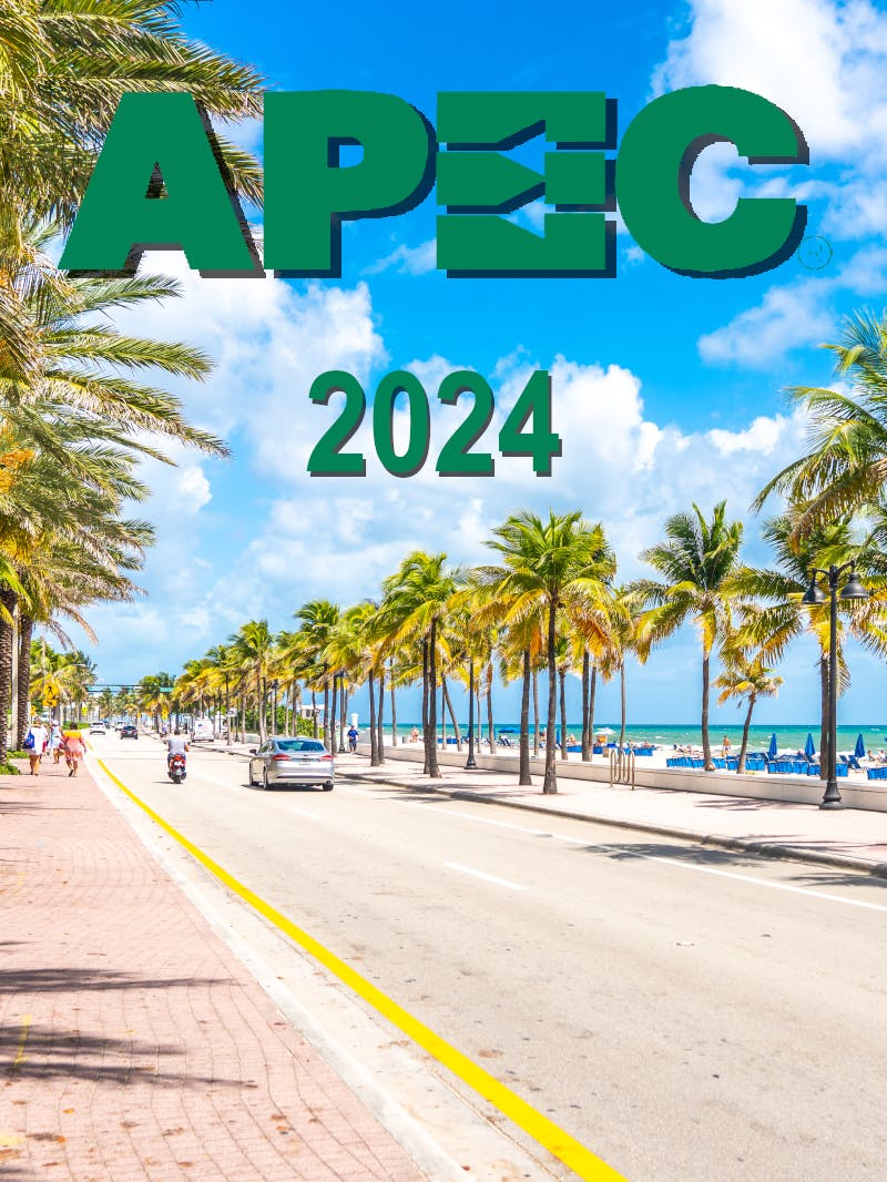 APEC 2024 cover image