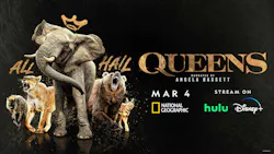 65e606b30a8106001e3f687f Promo Web 65e606b30a8106001e3f687f Promo Web