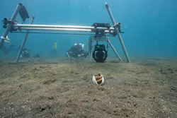 Camera Assistant Woody Spark operates the controls for the team's underwater camera-and-slider system to film a Coconut octopus (Amphioctopus marginatus) sheltering between clam shells. (National Geographic for Disney/Adam Geiger) Camera Assistant Woody Spark operates the controls for the team's underwater camera-and-slider system to film a Coconut octopus (Amphioctopus marginatus) sheltering between clam shells. (National Geographic for Disney/Adam Geiger)