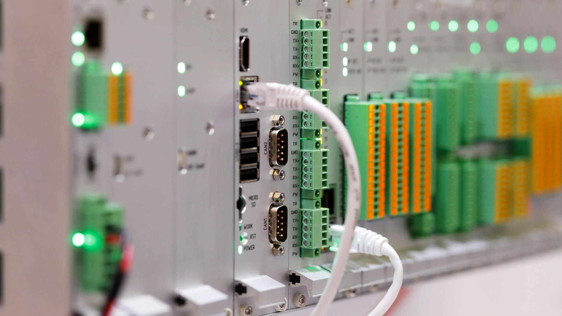 tsn_dreamstime_l_219062837