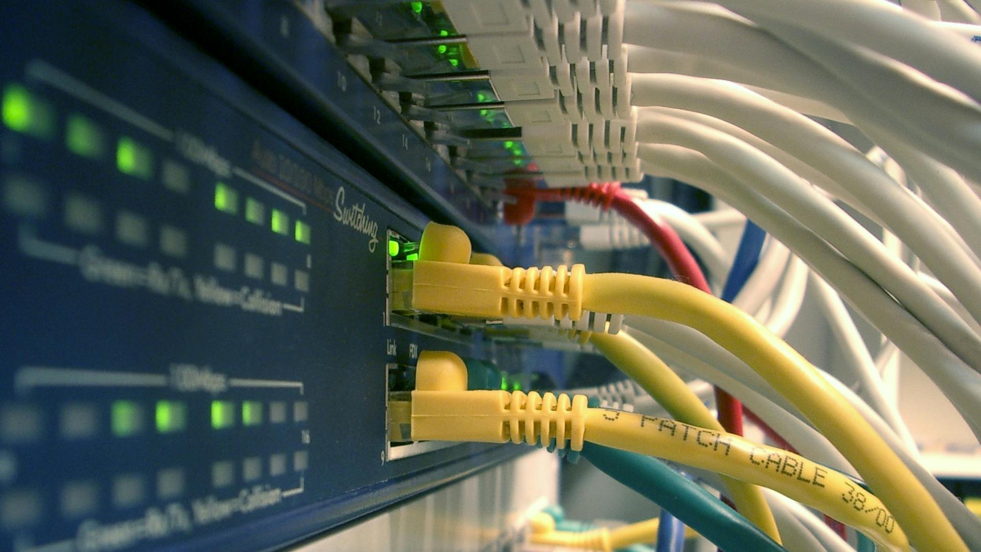 6669e138e08a6e01a577fefb Promo Photo 298932 Wolfgang Hagemann Dreamstime