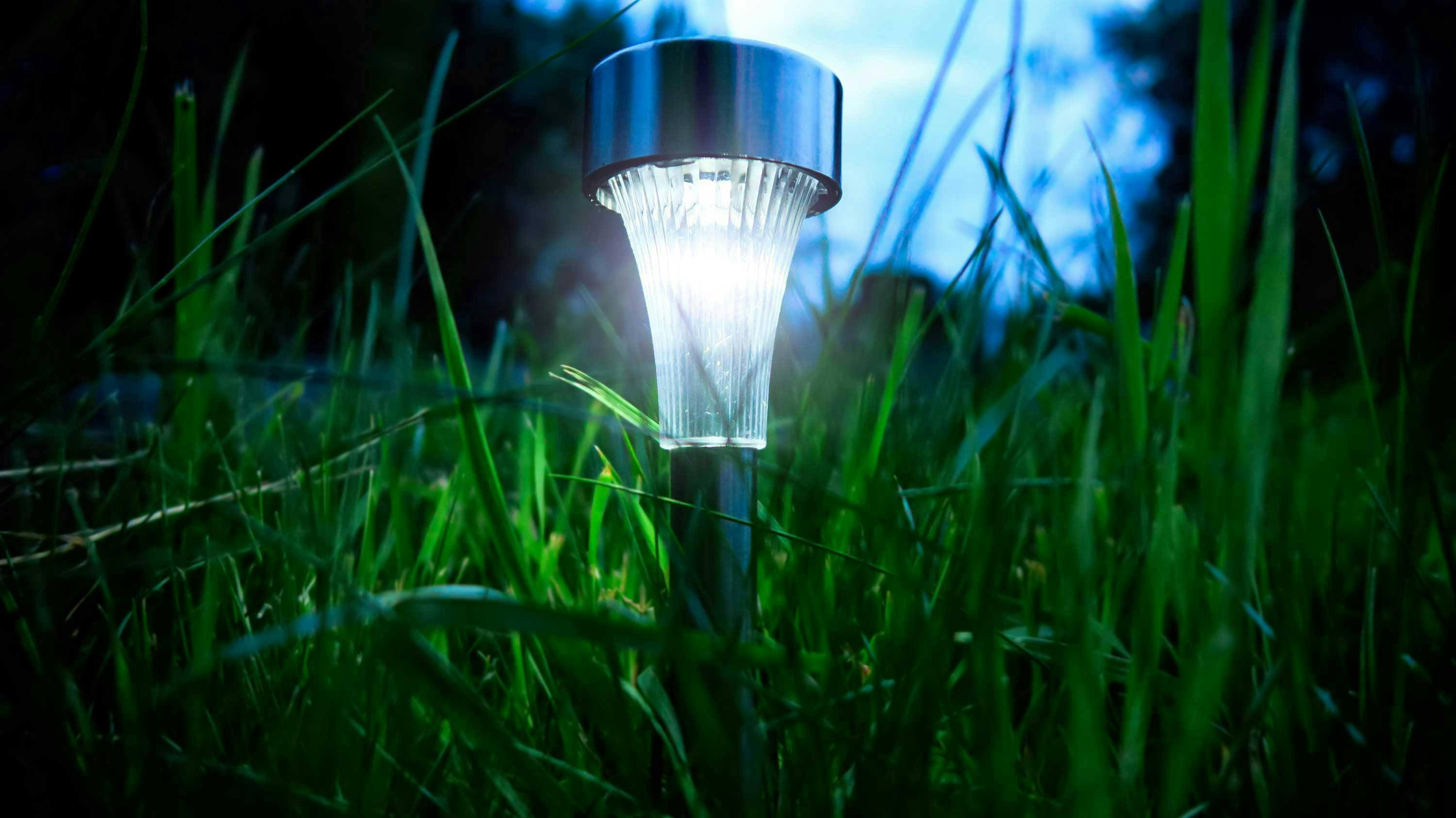 dreamstime_background_sabphoto_109187623