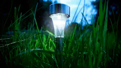 6679a2f18505d87be3756da9 Dreamstime Background Sabphoto 109187623 6679a2f18505d87be3756da9 Dreamstime Background Sabphoto 109187623