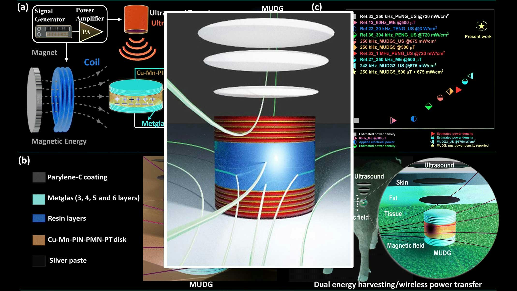 promoed_interest_dualimplantharvester_fig1