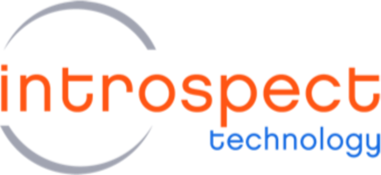 introspect_logo_web