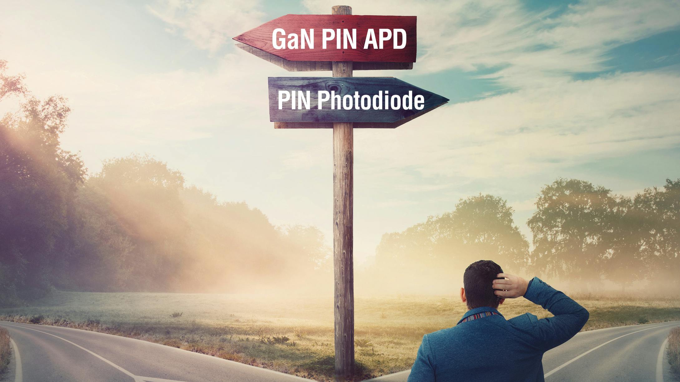 66be756352cc42d073731aa1 Dreamstime Bulatsilvia 166657452