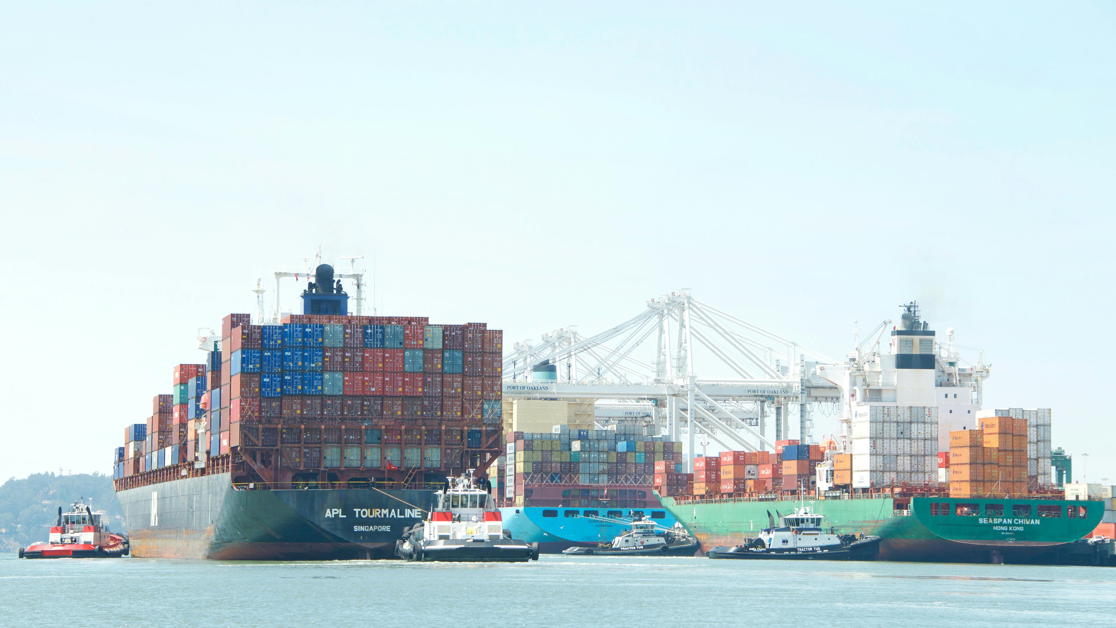 66fc645f299a0465b529be30 Id 91428381 Sheila Fitzgerald Dreamstime