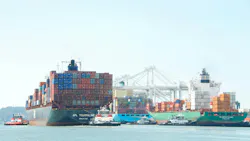 66fc645f299a0465b529be30 Id 91428381 Sheila Fitzgerald Dreamstime 66fc645f299a0465b529be30 Id 91428381 Sheila Fitzgerald Dreamstime