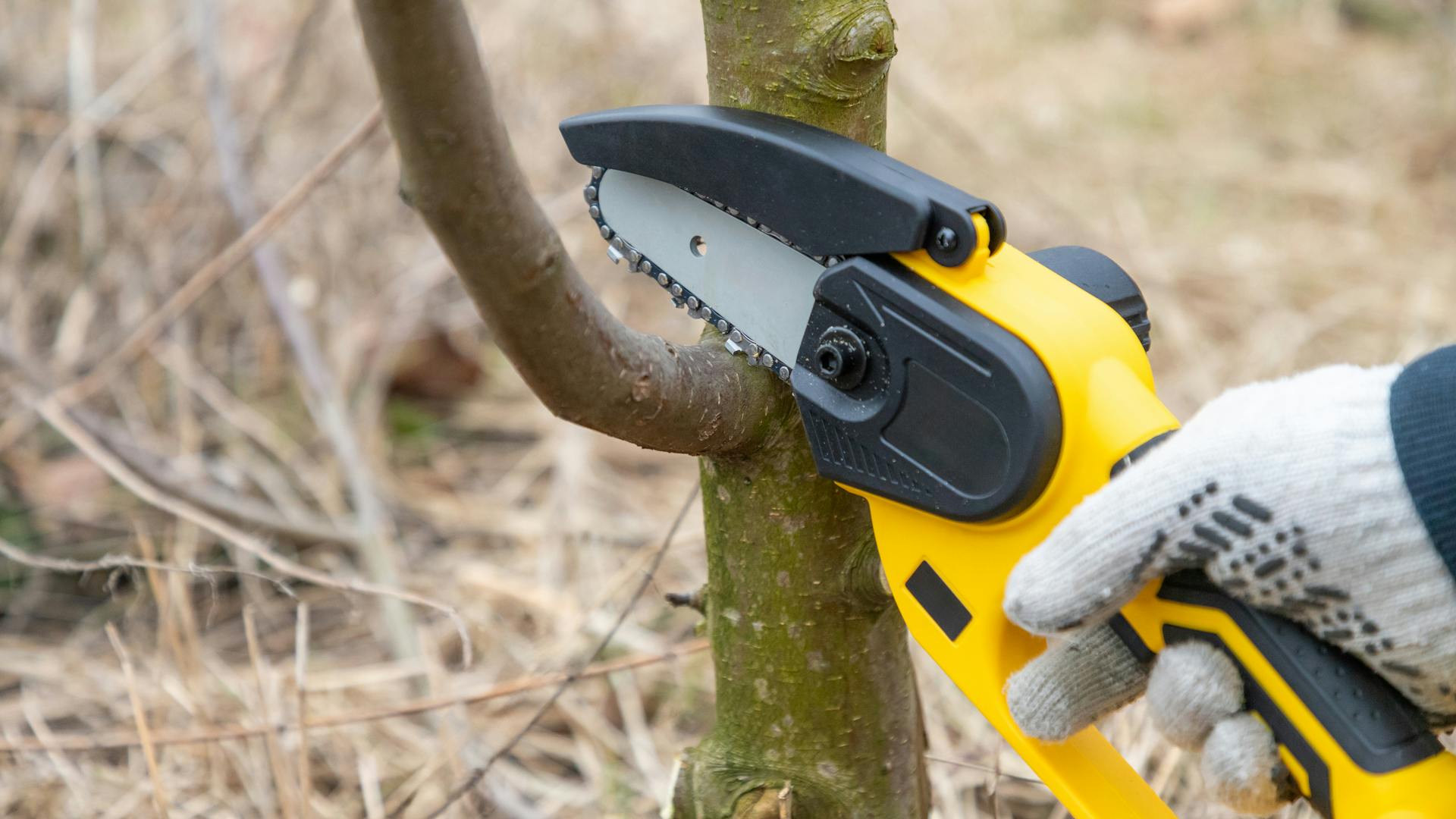 chainsaw_dreamstime_l_330525632