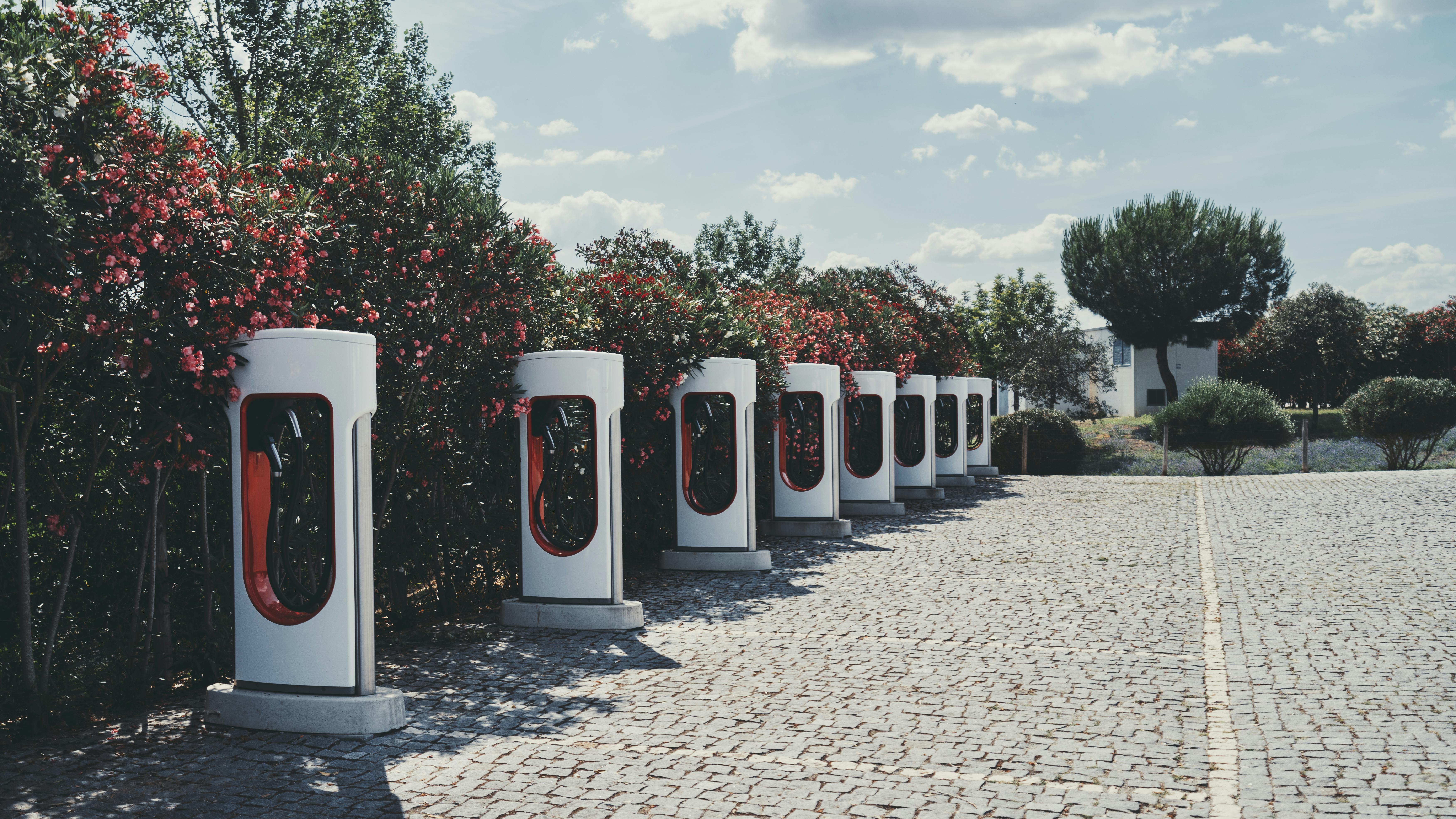 6724f87d329c244320e33d7b Id 325988743 Aleksei Todosko Dreamstime