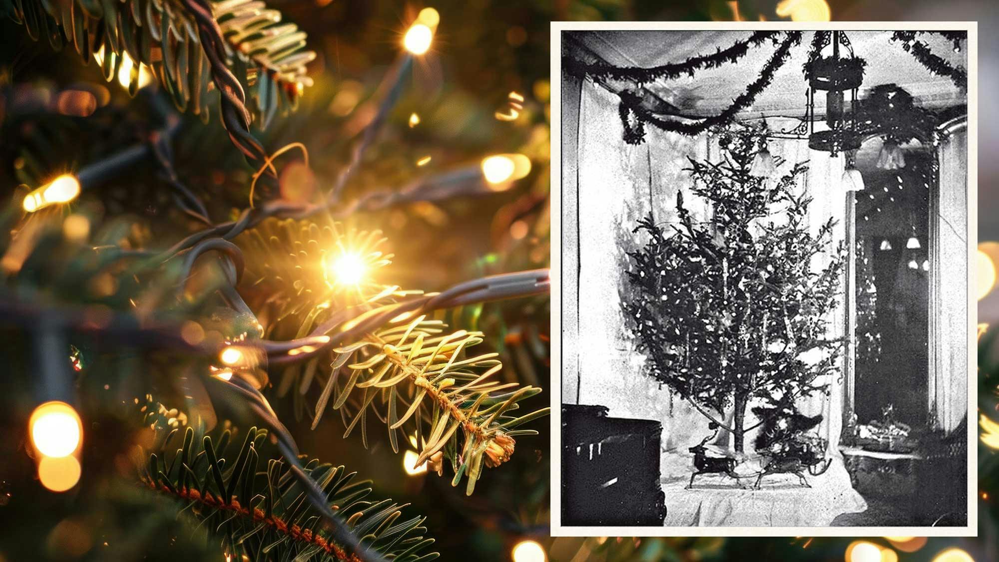 dreamstime_aiylivdesign_331127761