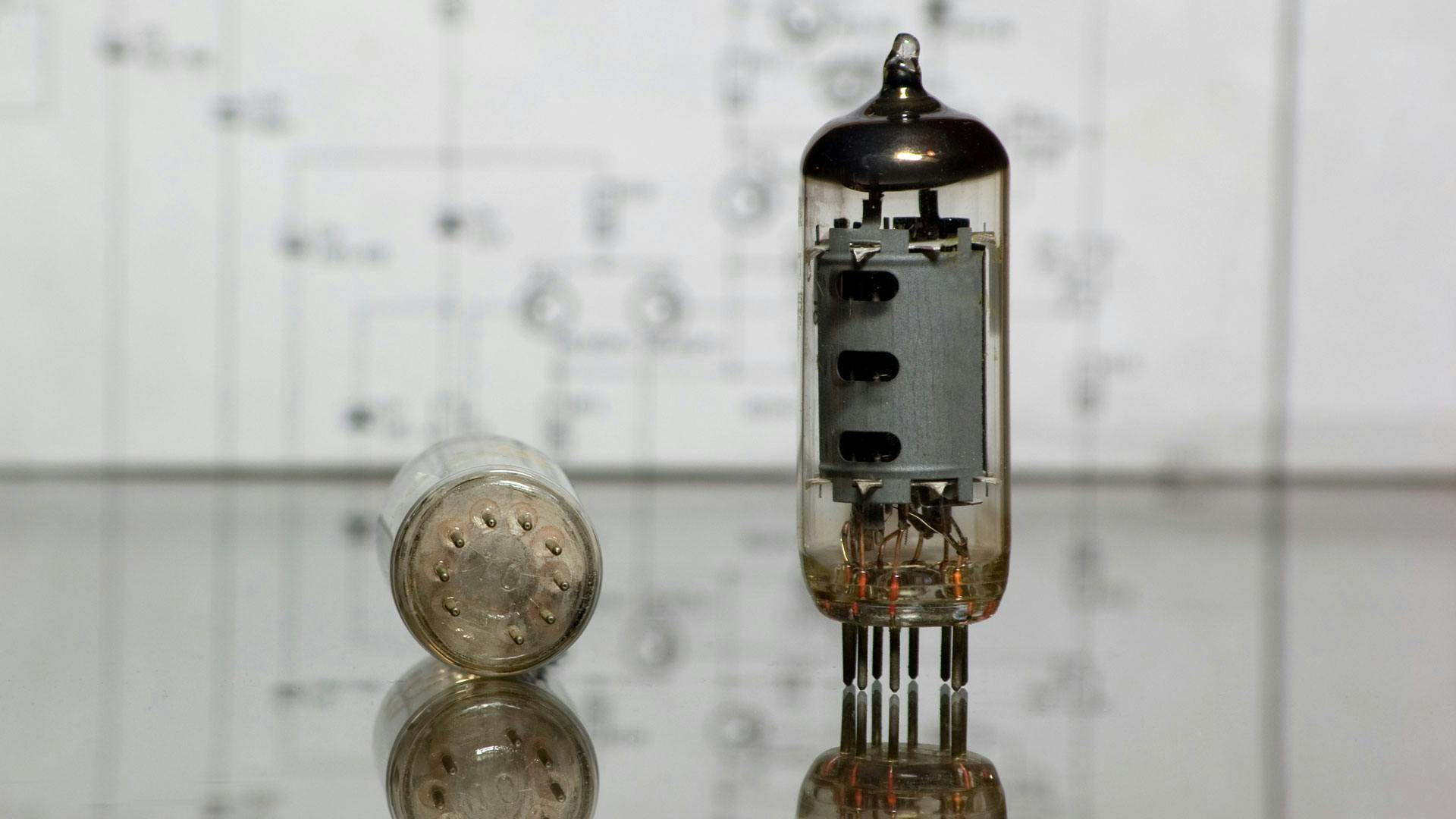 677bea035c38de4c9bb0987e Dreamstime Miroslavjn 12565032