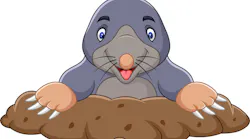 mole_dreamstime_l_136771542 mole_dreamstime_l_136771542