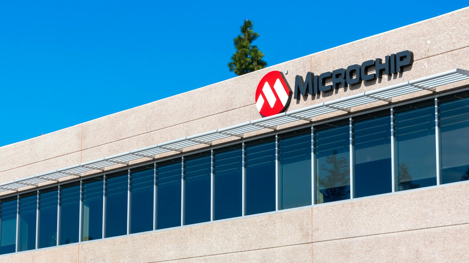 67abbb407de7c58449ab3a7c Microchip Dreamstime L 174168074