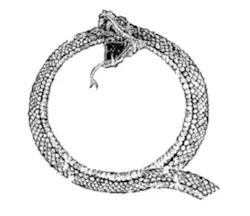 Ouroboros: Quroboros log Ouroboros: Quroboros log