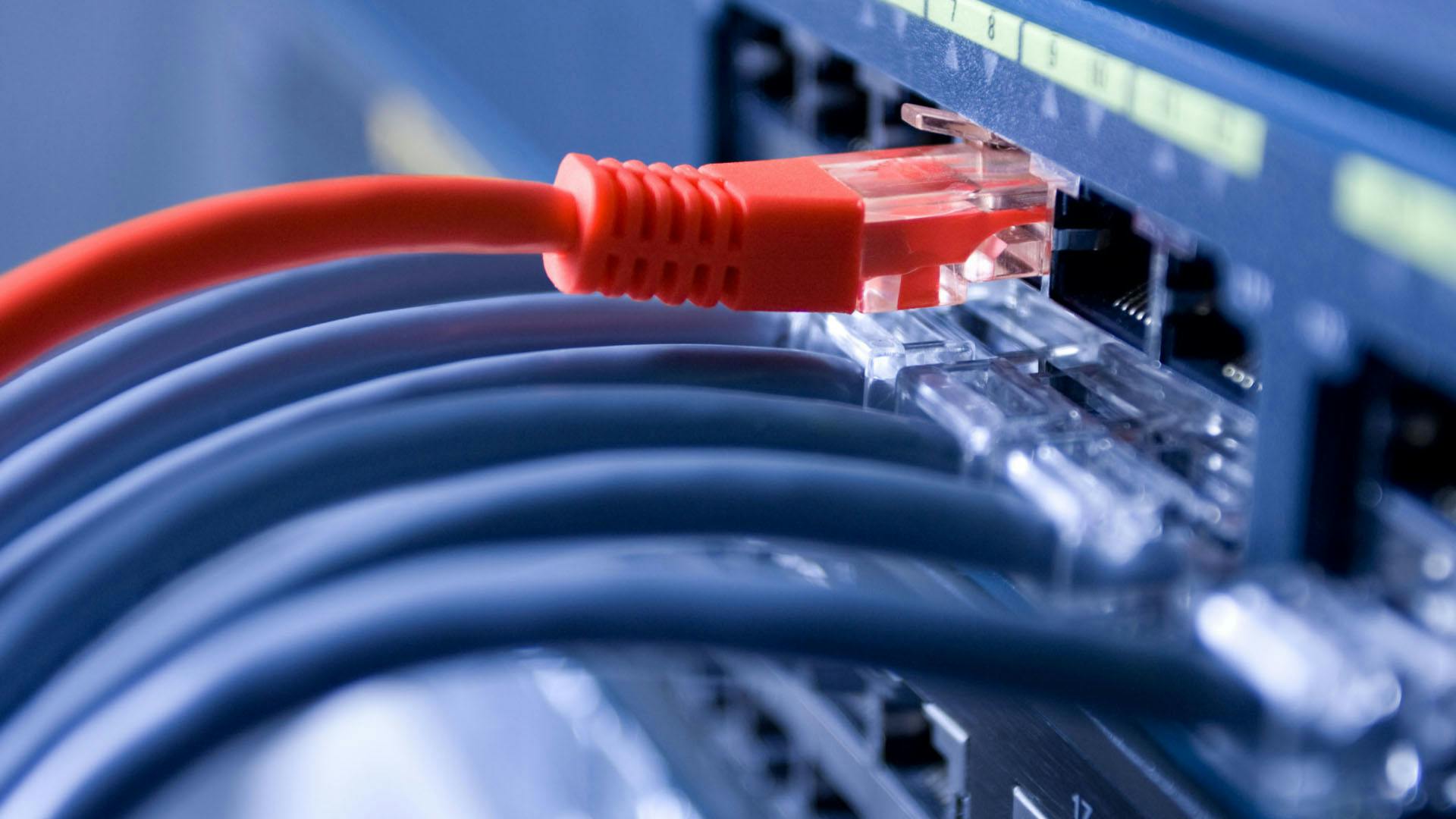 dreamstime__inara_prusakova_13421823_web