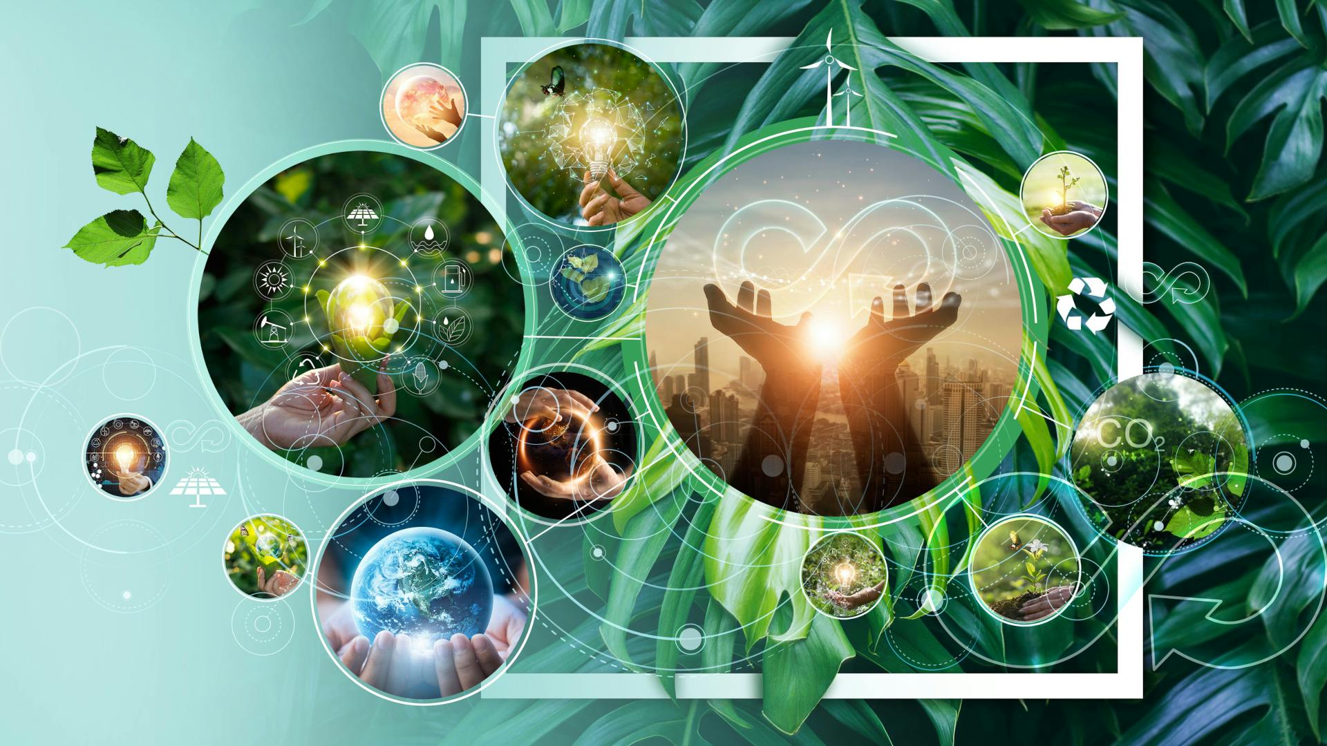 68110b958f1508e4f43ac656 Sustainable Dreamstime L 254007506