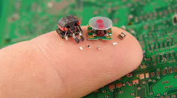 dreamstime_audrius_merfeldas_111096969 dreamstime_audrius_merfeldas_111096969