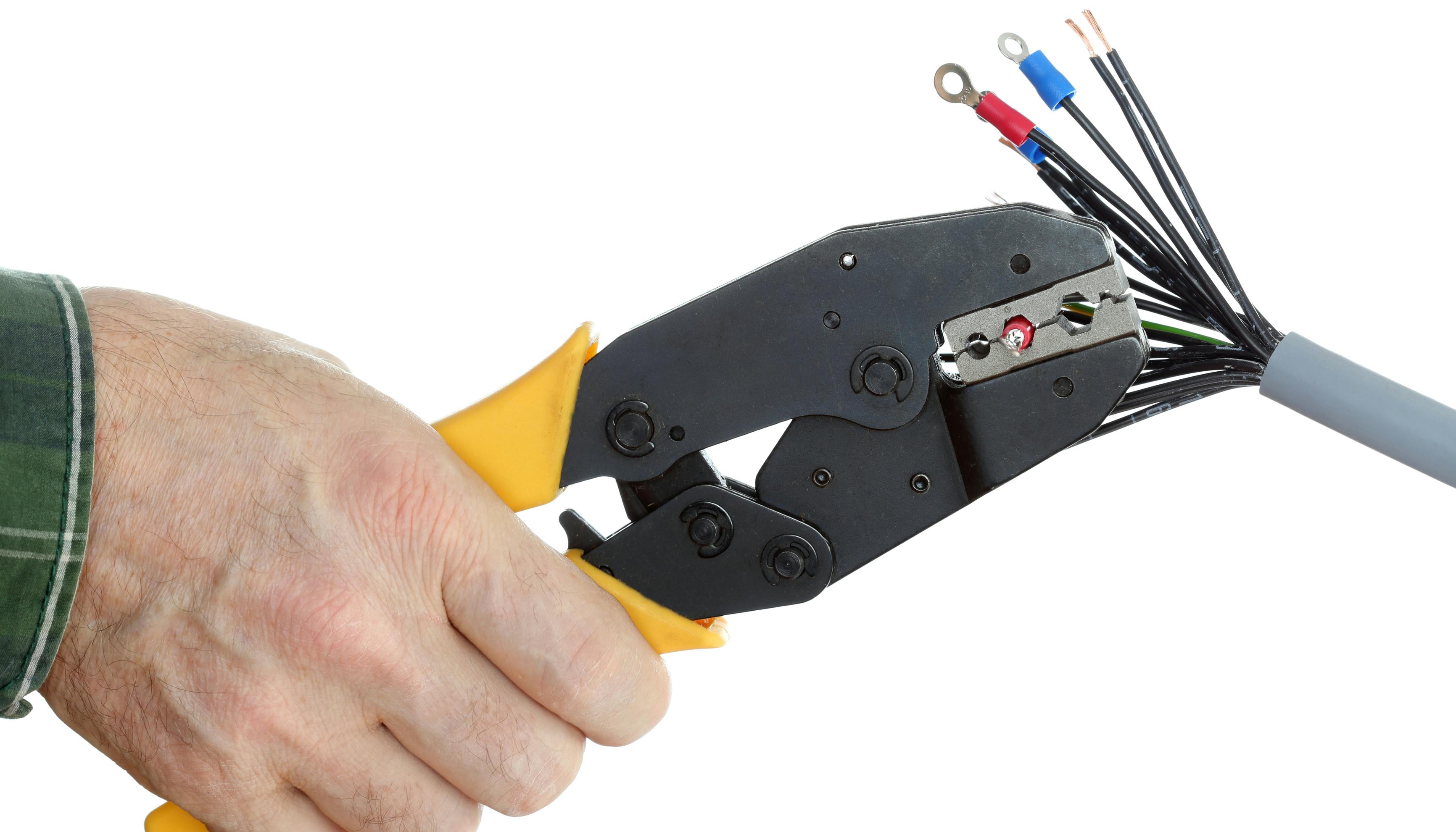 684c7422ee5c0aad0d9b1281 Dreamstime Xl 49914546