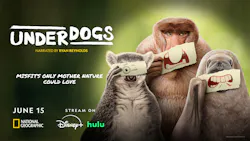 684c816d458e5cc2494675b5 Promo 684c816d458e5cc2494675b5 Promo