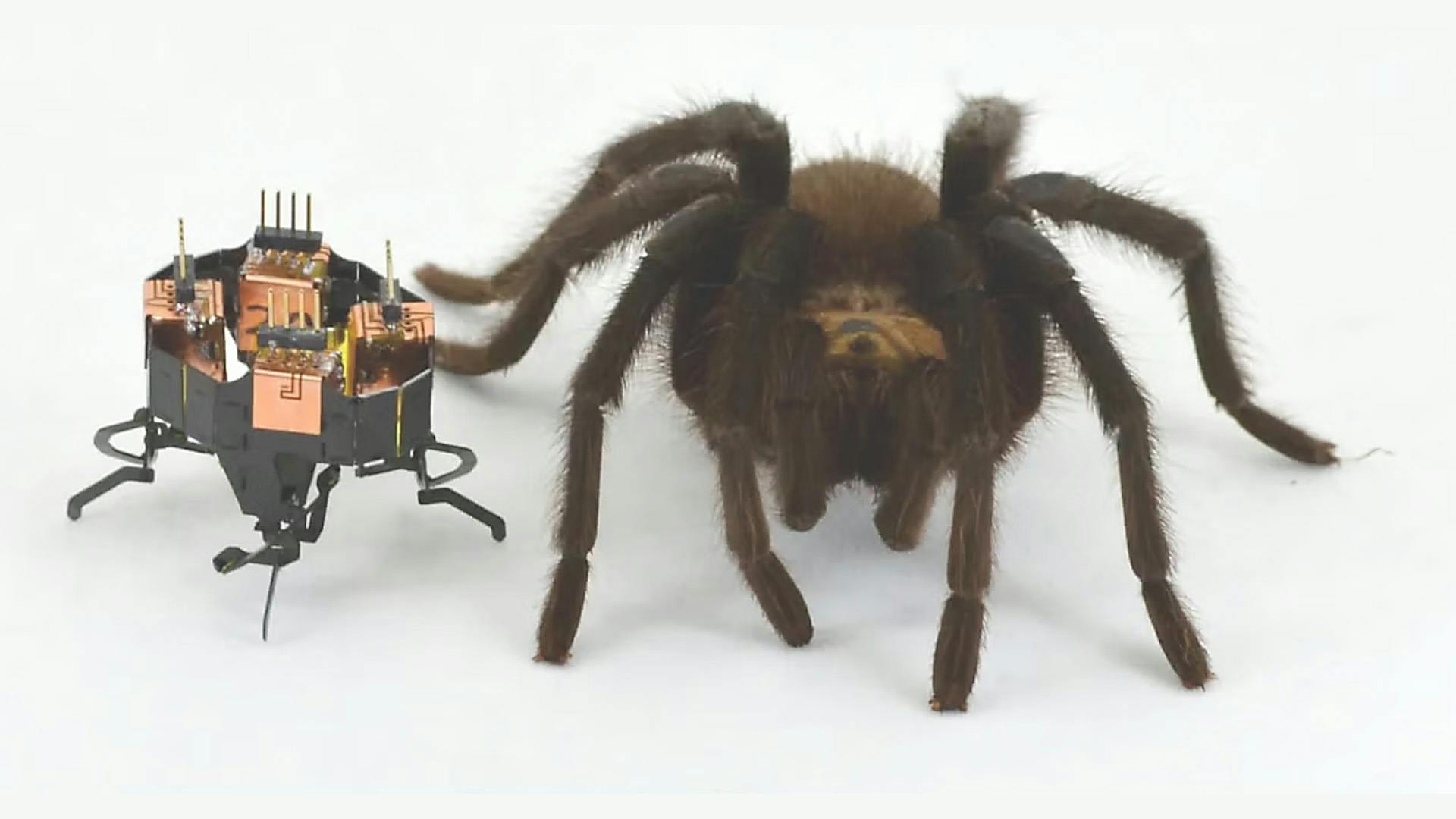 685abd208882466dd6ccfd34 Mclari Spider Promo