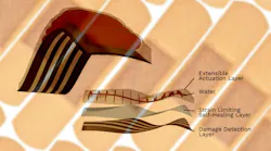 dreamstime_brookebecker_14980958 dreamstime_brookebecker_14980958