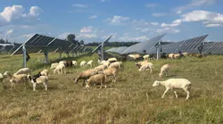 250915_newsmod_agrovoltaics_conference2promo 250915_newsmod_agrovoltaics_conference2promo