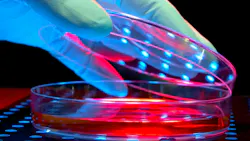 6966965824f7e90a832e4a0c Petridish Dreamstime L 12574137 6966965824f7e90a832e4a0c Petridish Dreamstime L 12574137