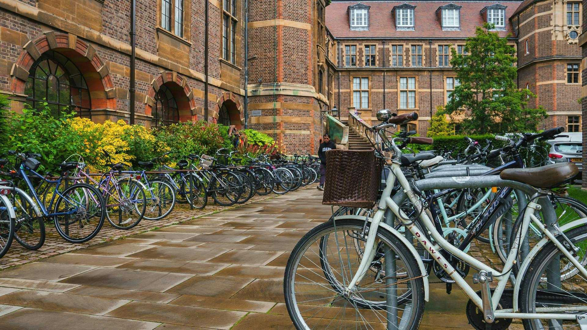 university_dreamstime_l_328252413