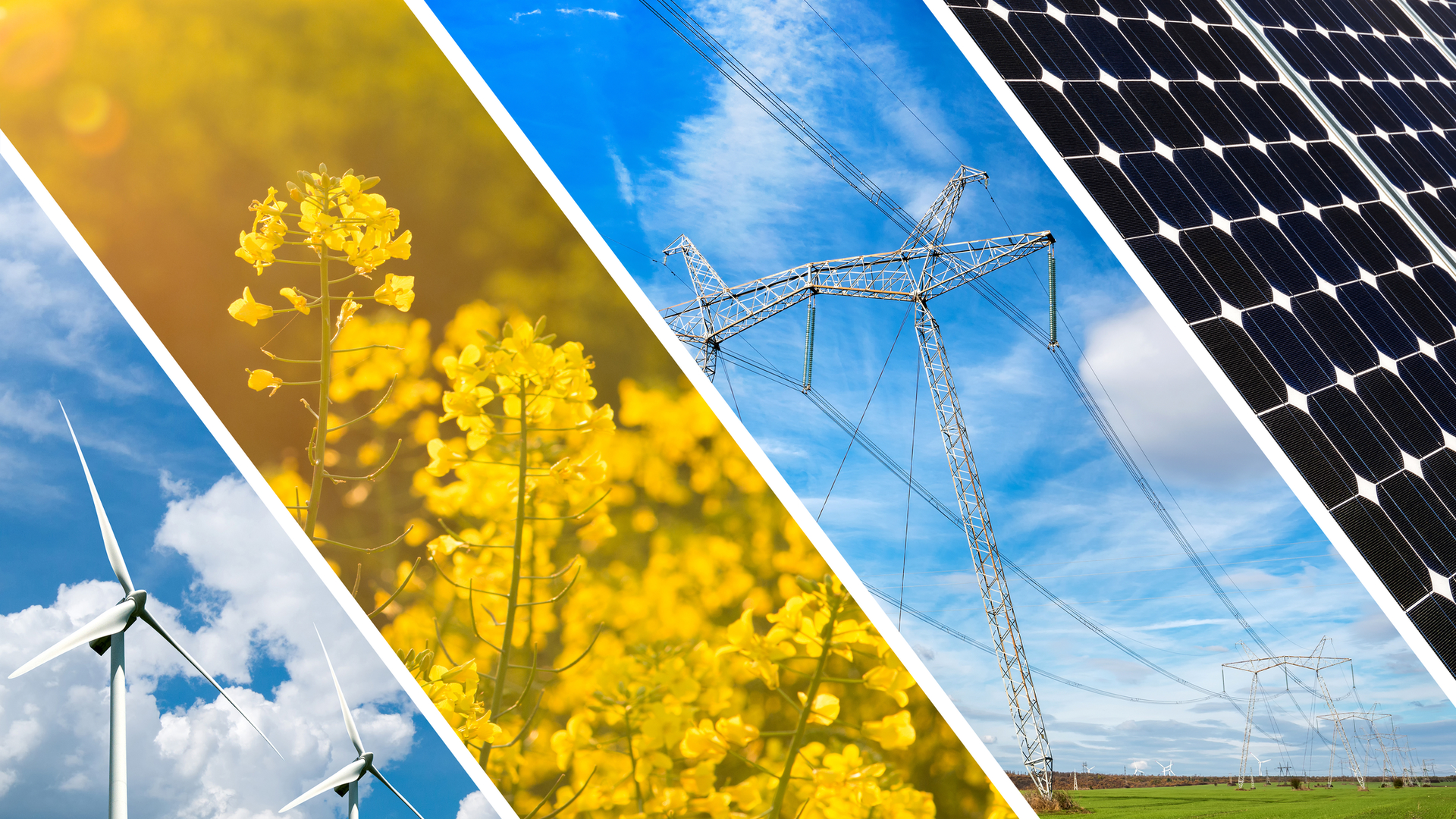 Dreamstime M 89159318 21177489 615c9ee7b1743