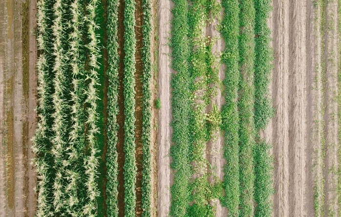 Wild Hope Farm 629e09cc6d3ad